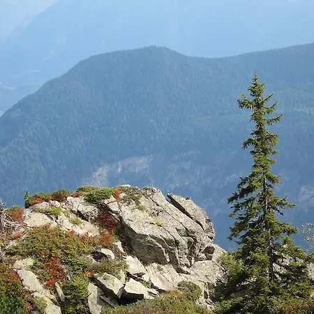 Les Soldanelles Salvan