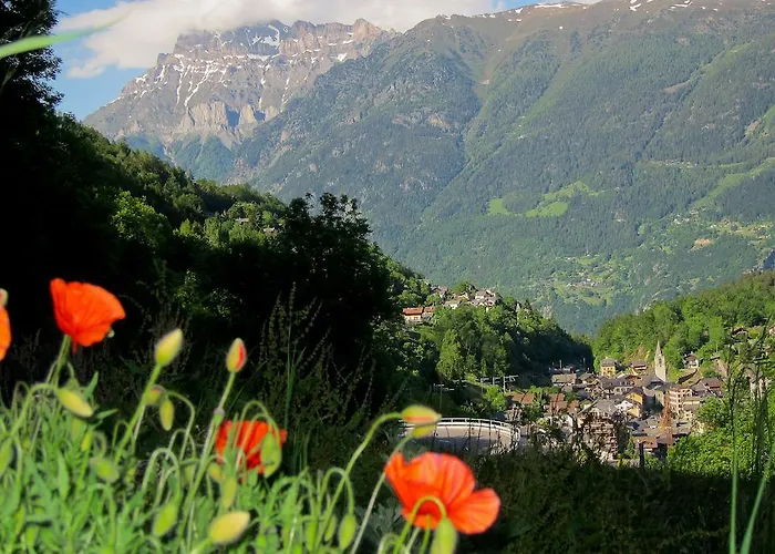 Apartment Les Soldanelles *