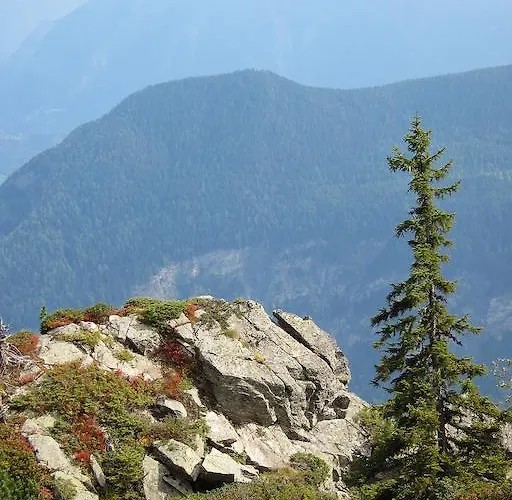 Les Soldanelles Salvan