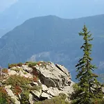Les Soldanelles Salvan